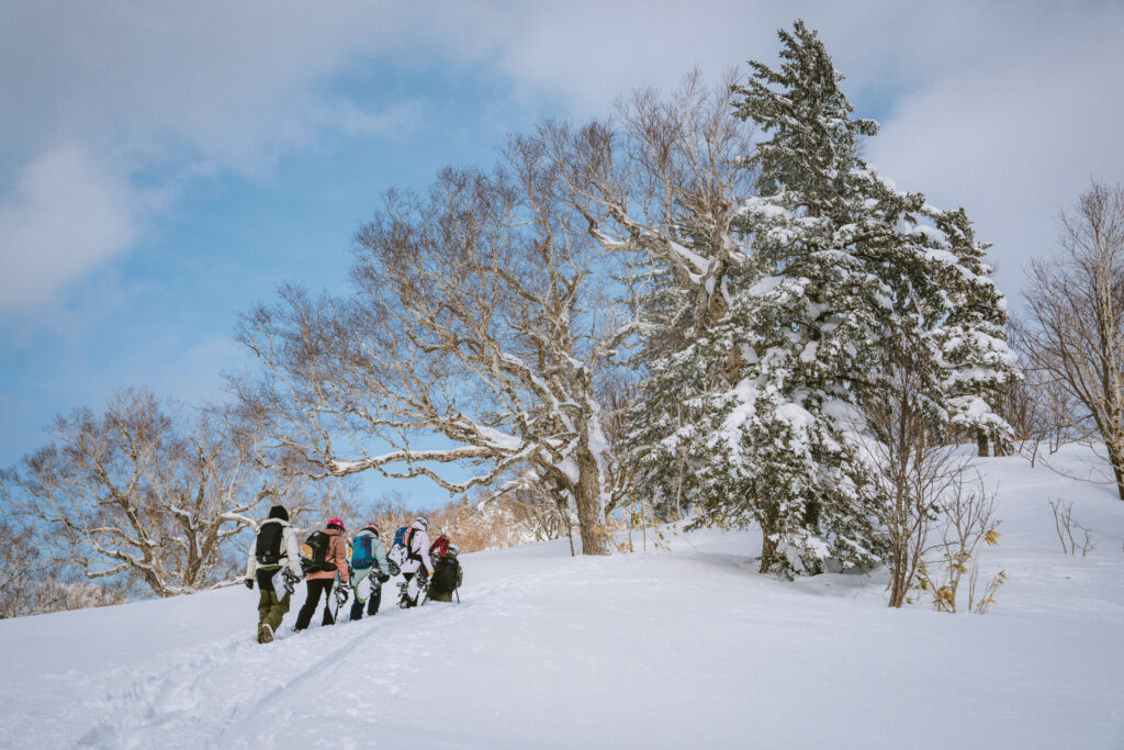 Furano snowboarding