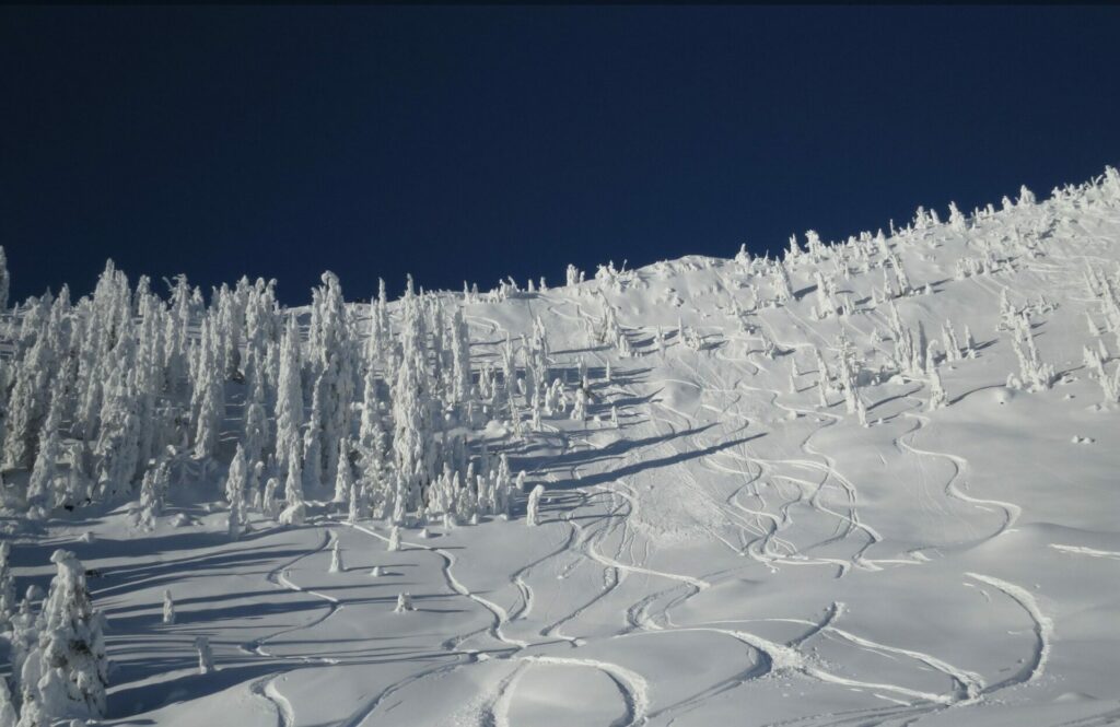 Cat-skiing british columbia